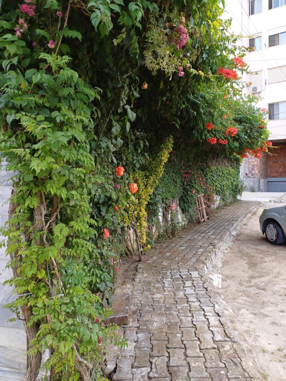 Arben Apartman Durrës Kültér fotó